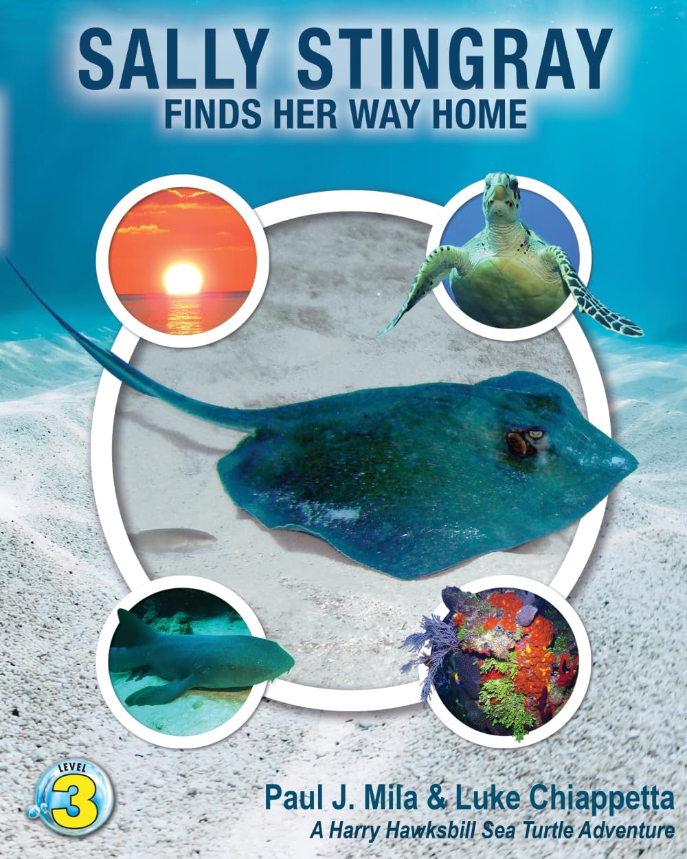 Sally Stingray Finds Her Way Home