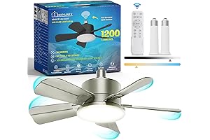 Go 2 Socket with Dimmable Ceiling Fan Light