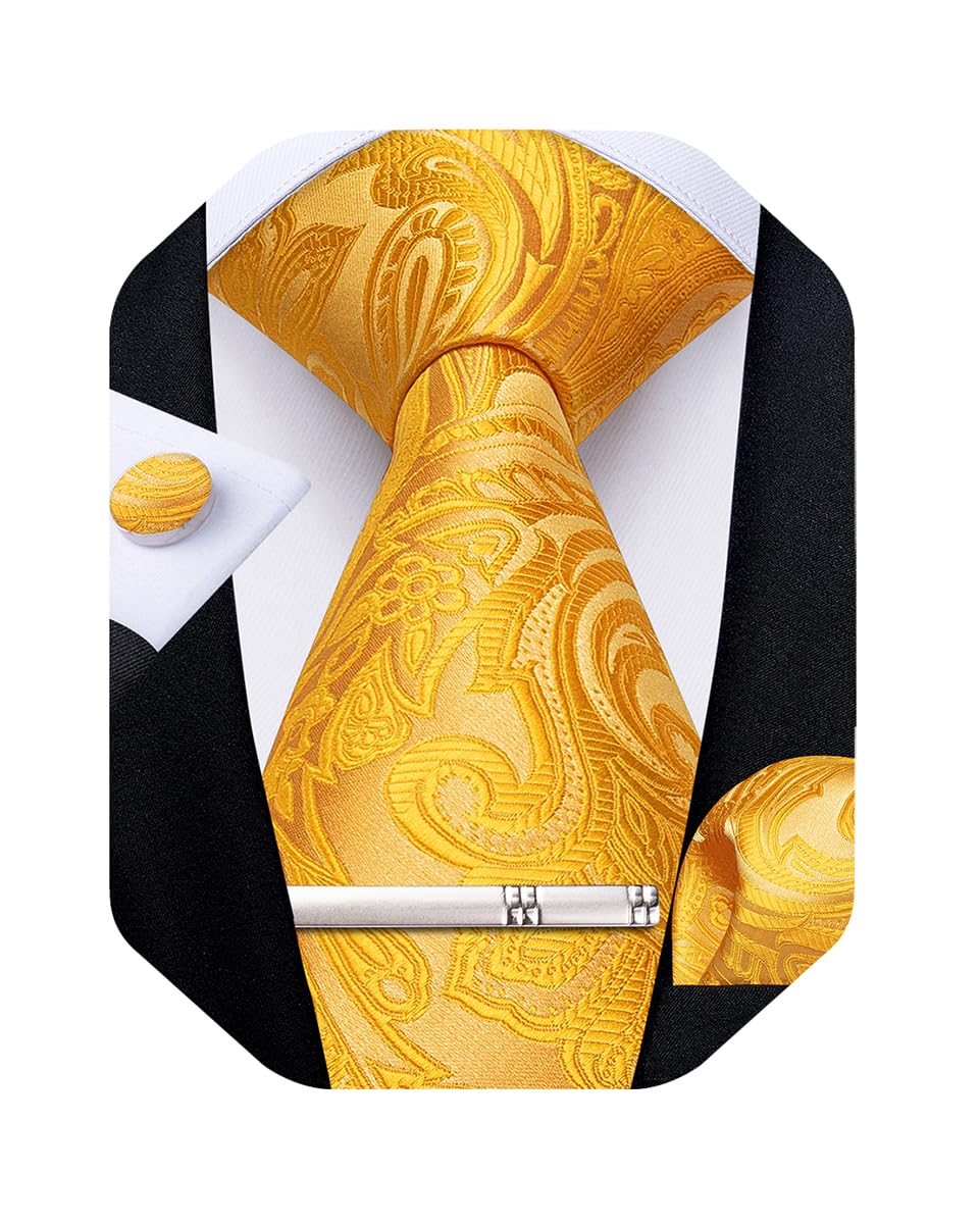 DiBanGu Silk Floral Ties for Men Woven Paisley Necktie