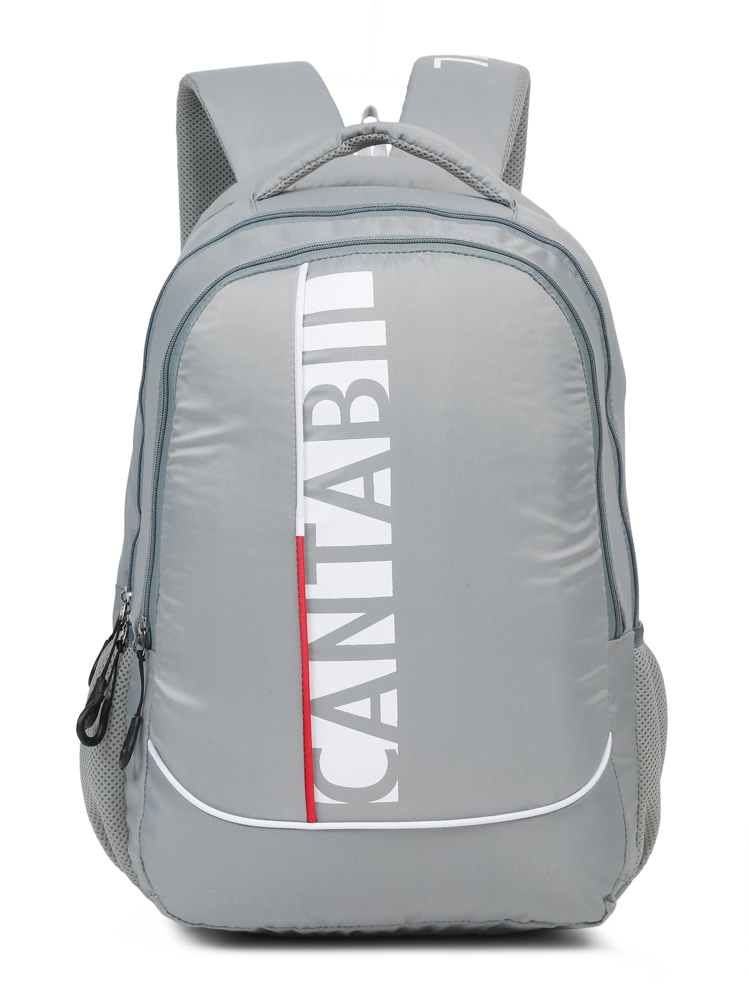 Unisex Grey Laptop Bag l Laptop Bag for unisex (ABAG00011_GREY_31X21X41)-image-20