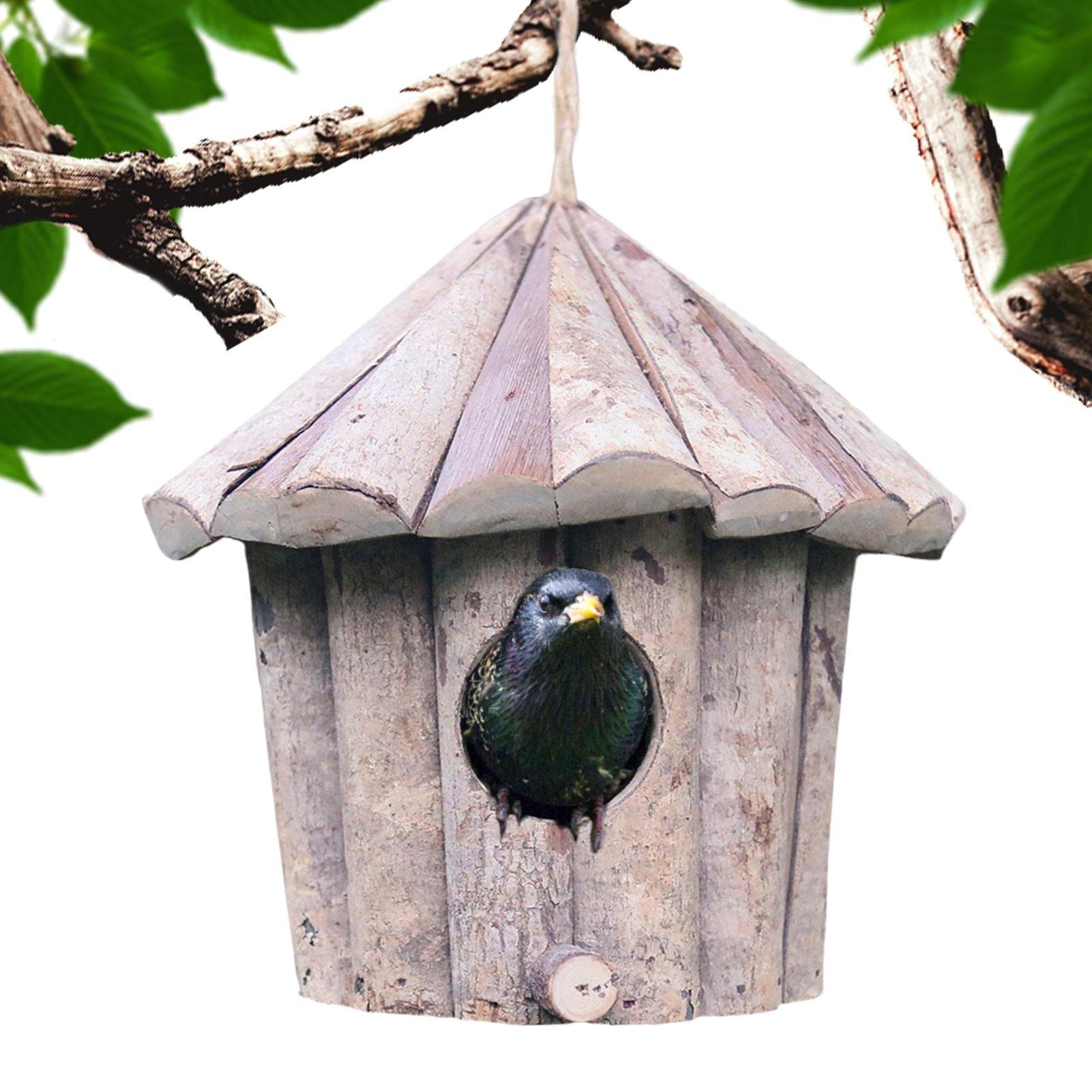 Nichoir en bois naturel : maison d'oiseaux extérieure haut de gamme