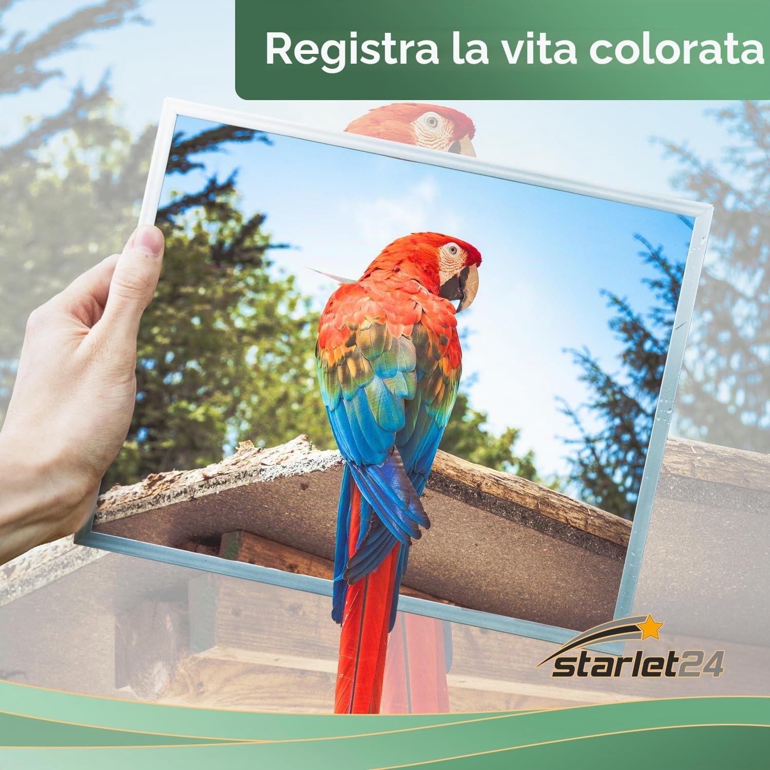 Starlet24 TN247 CMYK Toner Compatibile per Brother TN247 TN243 TN-247 TN243 | per MFC-L3750CDW MFC-L3770CDW MFC-L3710CW DCP-L3550CDW DCP-L3510CDW HL-L3230CDW MFC-L3730CDN (5-Pack)