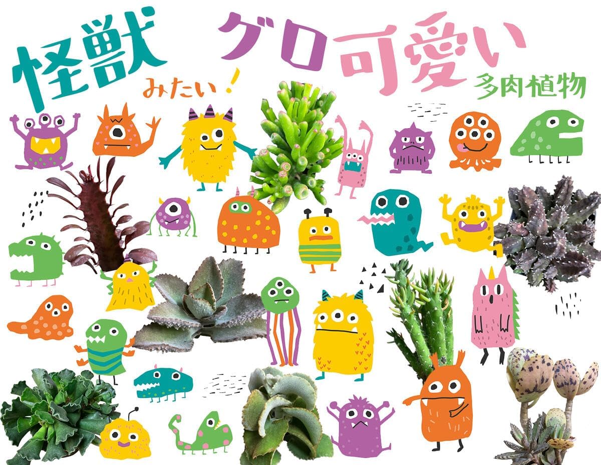 Amazon｜[World Fantasy Garden] 苗 多肉植物 ゴーラム 1鉢 3～3.5号