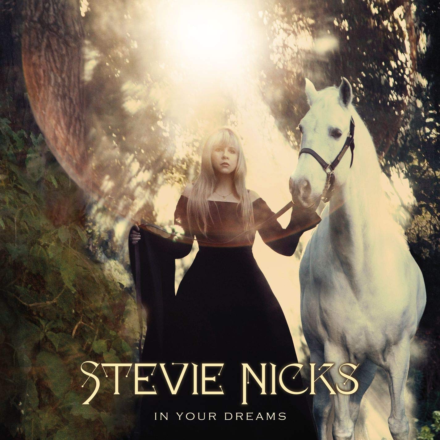 In Your Dreams [Audio CD] NICKS,STEVIE