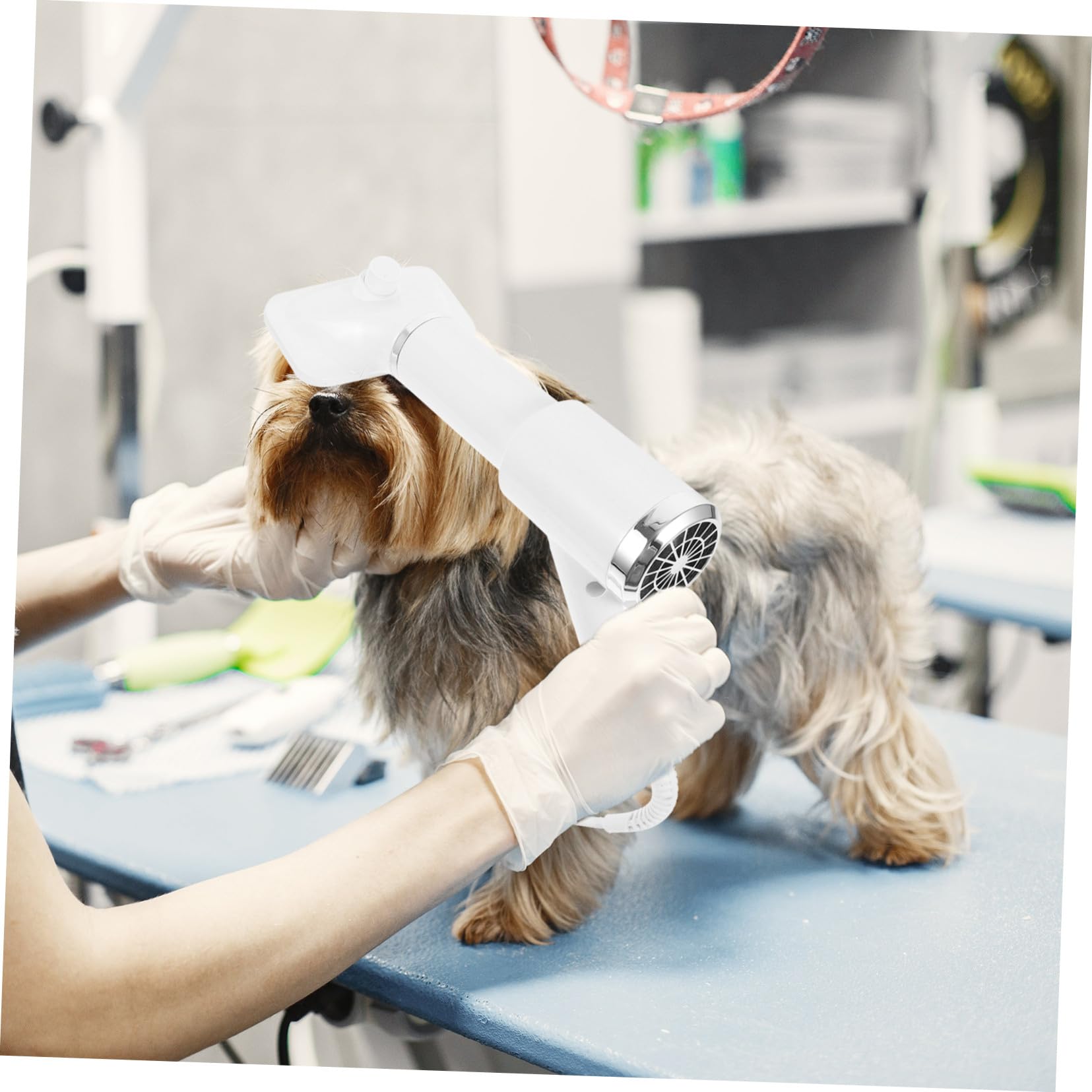Secador de Pelo para Mascotas, Cepillo Peine Portátil Blanco | Perros y Gatos, Plástico Seguro, Desenredante, Adecuado para Dueños de Mascotas