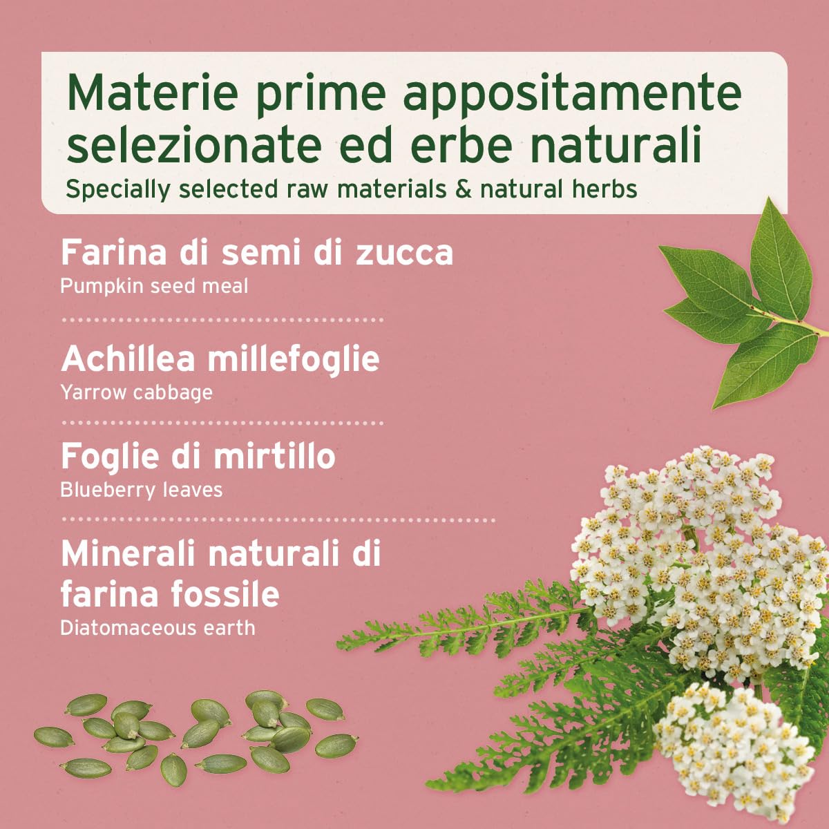 AniForte polvere per incontinenza vescicale per cani 100 g - Supporta la funzione vescicale in caso di debolezza della vescica, incontinenza, perdite urinarie e perdita di urina