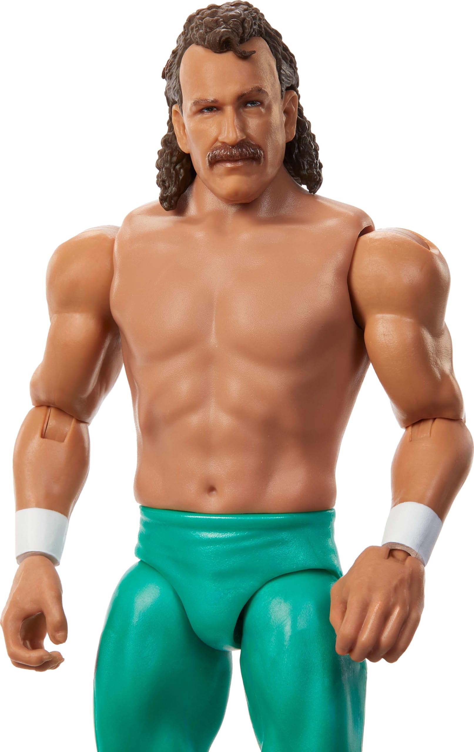 Amazon.co.jp: Mattel WWE ジェイク・ロバーツ アクションフィギュア