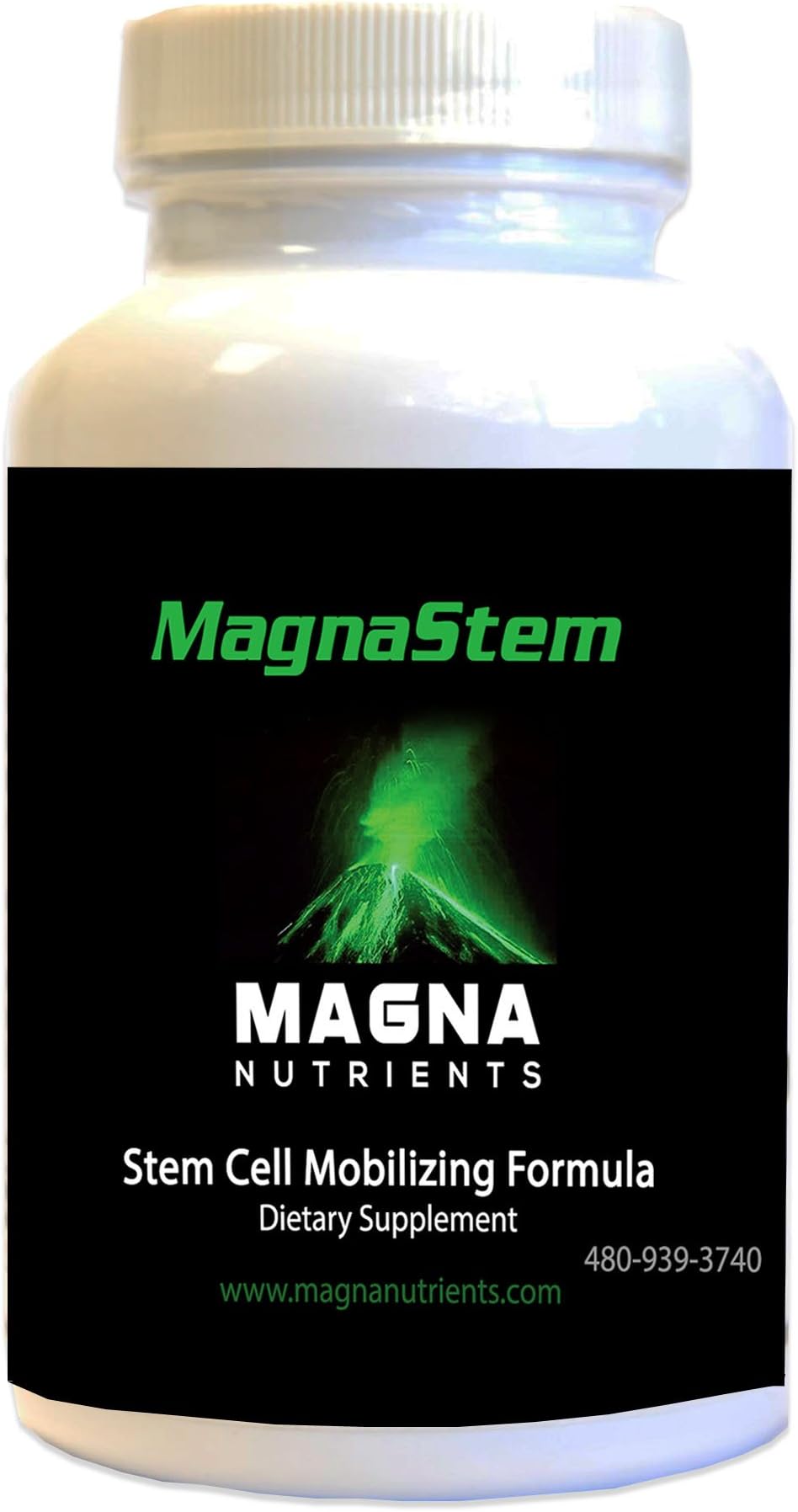 MagnaSTEM - Repair, Restore, Regenerate & Support STEM Cells