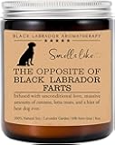 Black Labrador Candle, Black Labrador Funny Dog Gift, Black Labrador Mom, Black Labrador Dog Candle, Birthday Gift, Black Labrador Owner Gift, Dog Lovers Gift, Black Labrador Parents Day Gift
