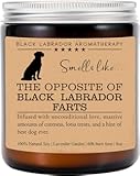 Black Labrador Candle&comma; Black Labrador Funny Dog Gift&comma; Black Labrador Mom&comma; Black Labrador Dog Candle&comma; Birthday Gift&comma; Black Labrador Owner Gift&comma; Dog Lovers Gift&comma; Black Labrador Parents Day Gift