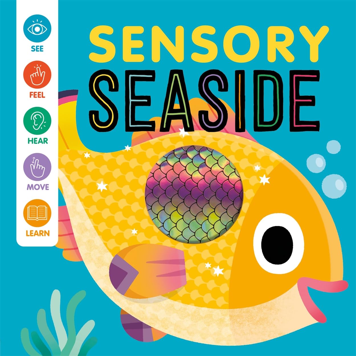 Sensory Seaside (Baby Sensory Book)