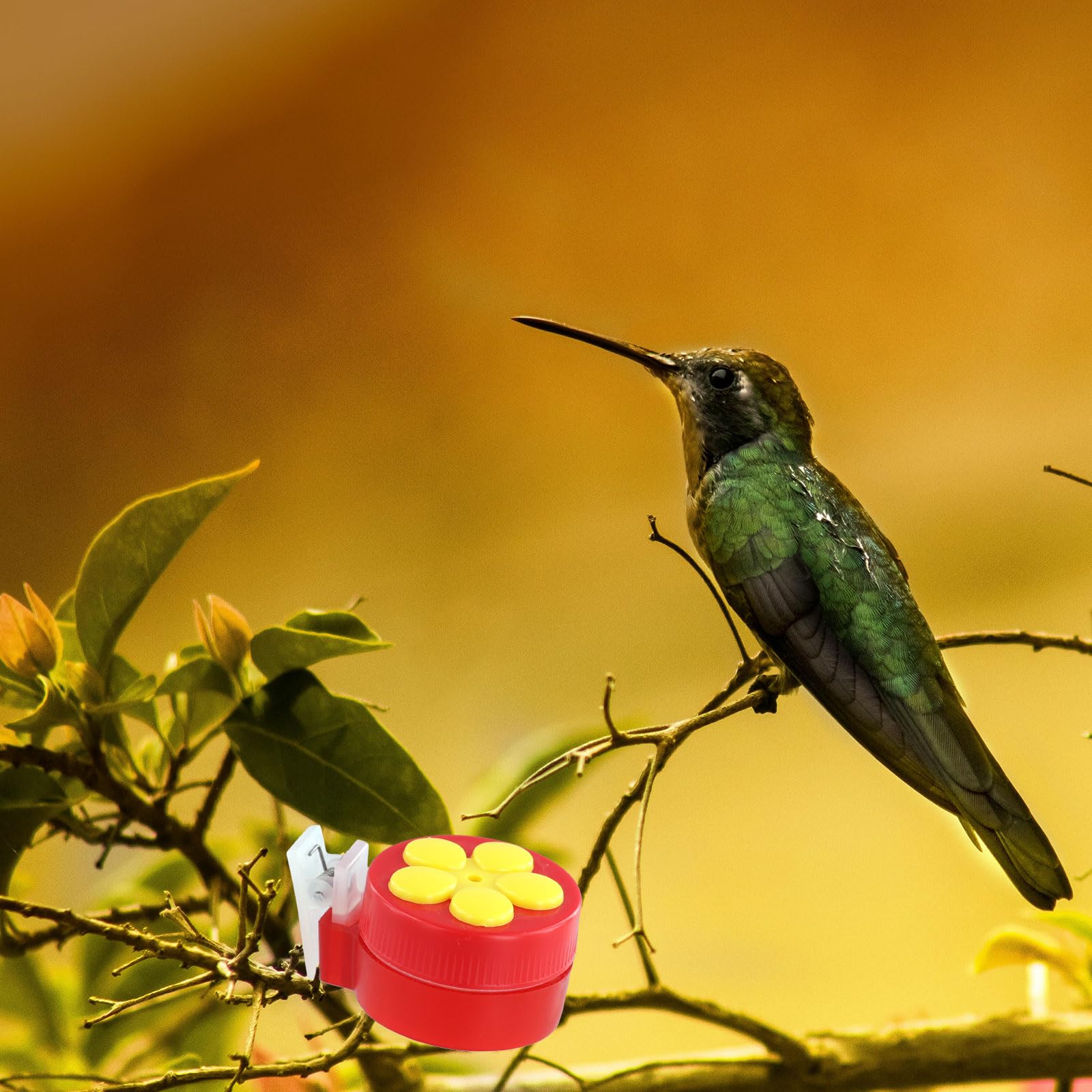 4uds Comederos de Colibríes de Mano con Clips, Hummingbird Feeder con 4 Cepillos de Limpieza Mini Plástico Comedero de Colibrí Herramientas de Alimentación para Suministros al Aire Libre
