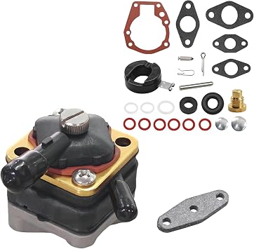 439071 Carburetor Rebuild Kit Bundle with 397839 Fuel Pump for Johnson Evinrude 6 8 9.9 15 HP Outboard Models 18-7043 18-7350