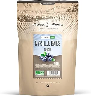 Myrtille Baie Bio 500 gr de poudre