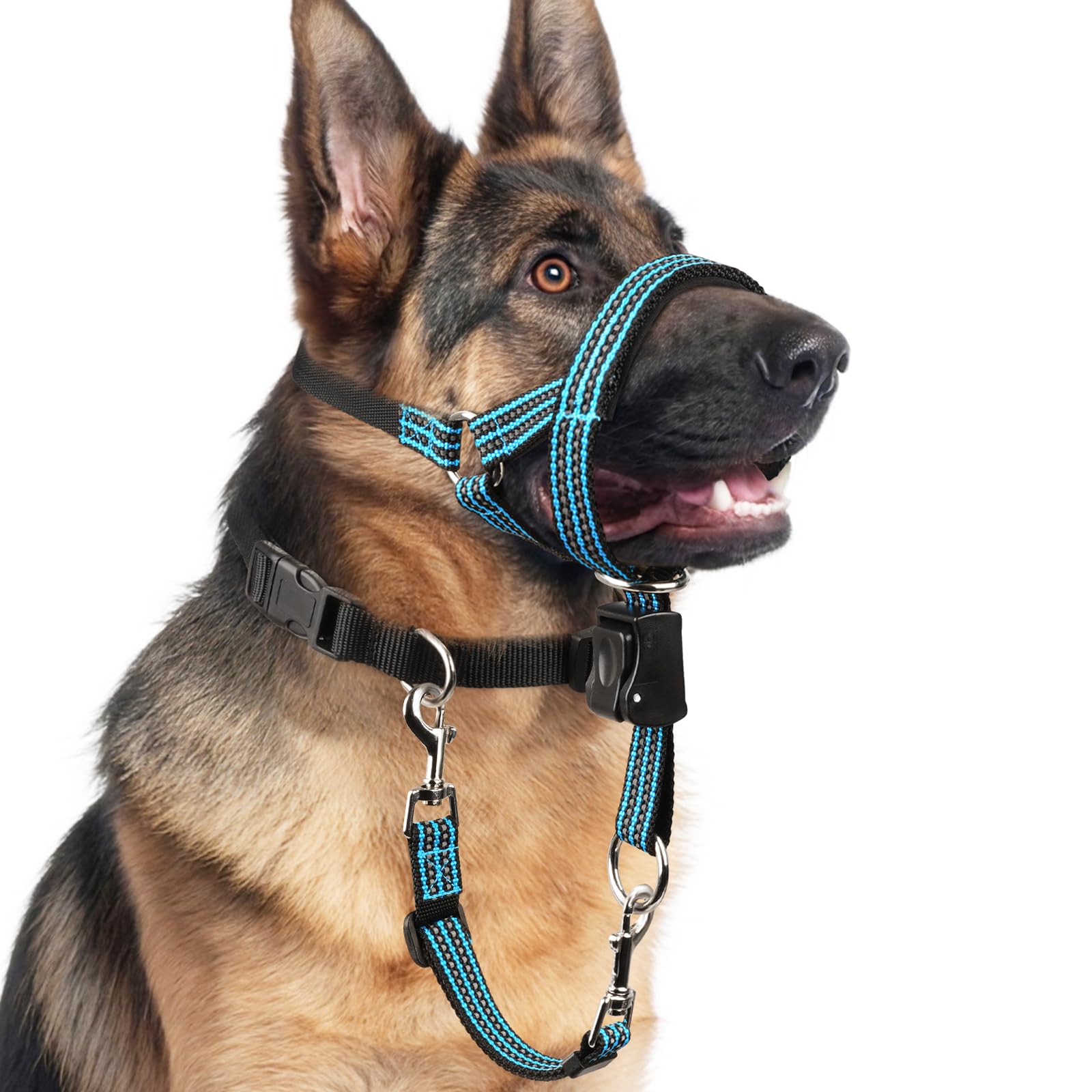 BARKLESS No Pull Dog Head Collar for Gentle Training Walking, Soft Padded Head Halter with Collar Safety Clip, Comfortable Fit Muzzle Leash with Reflective Strap for Medium Large Dog (Blue, L)