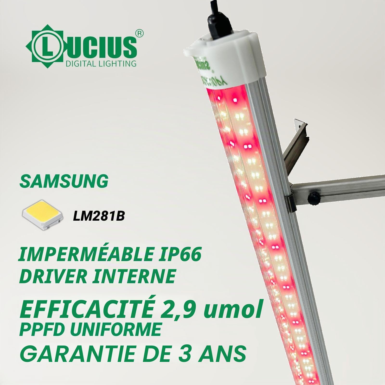 LUCIUS - LED Under Canopy 120 W - Culture intérieure et serre - Éclairage inférieur pour plantes, légumes et fleurs - Haute efficacité, faible consommation - Plus de production et de qualité sur les