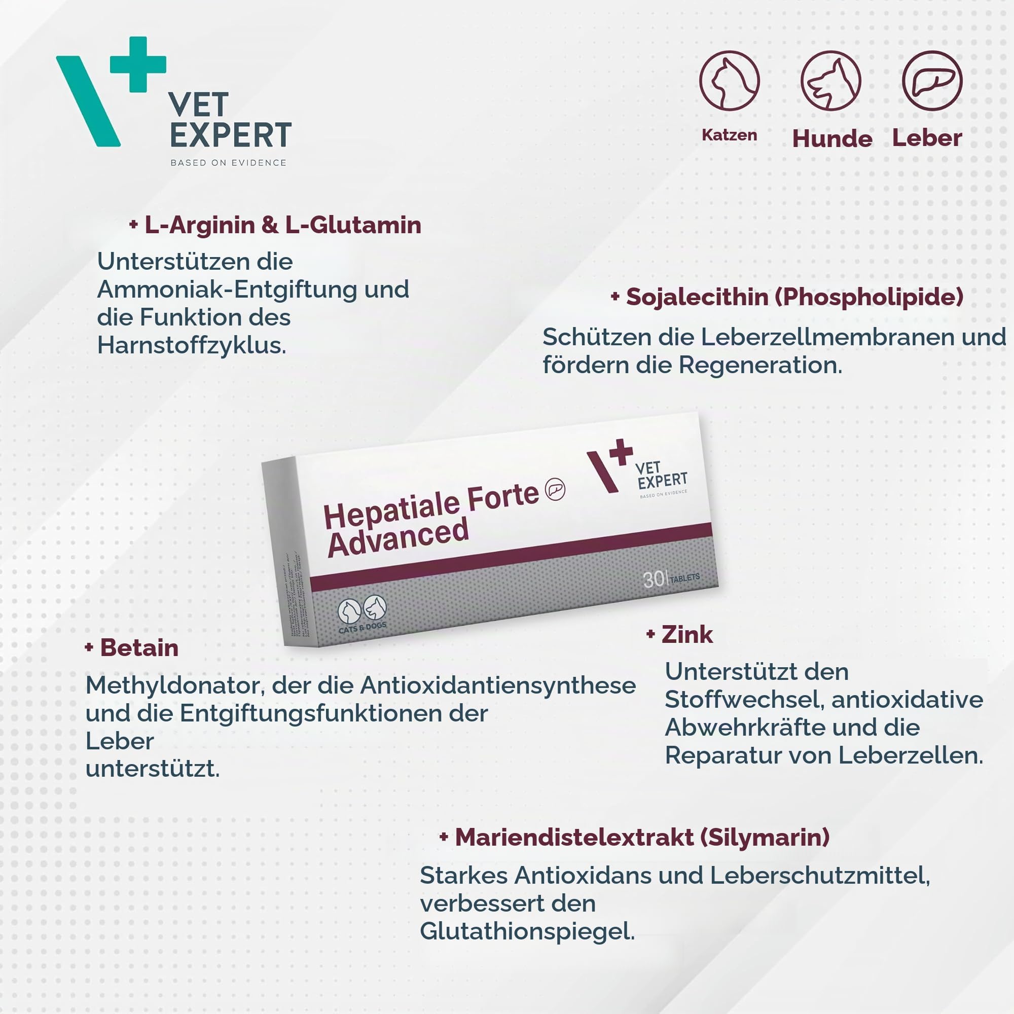 Vet Expert Hepatiale Forte Advanced Leber Supplement für Hunde und Katzen - 30 Tabletten