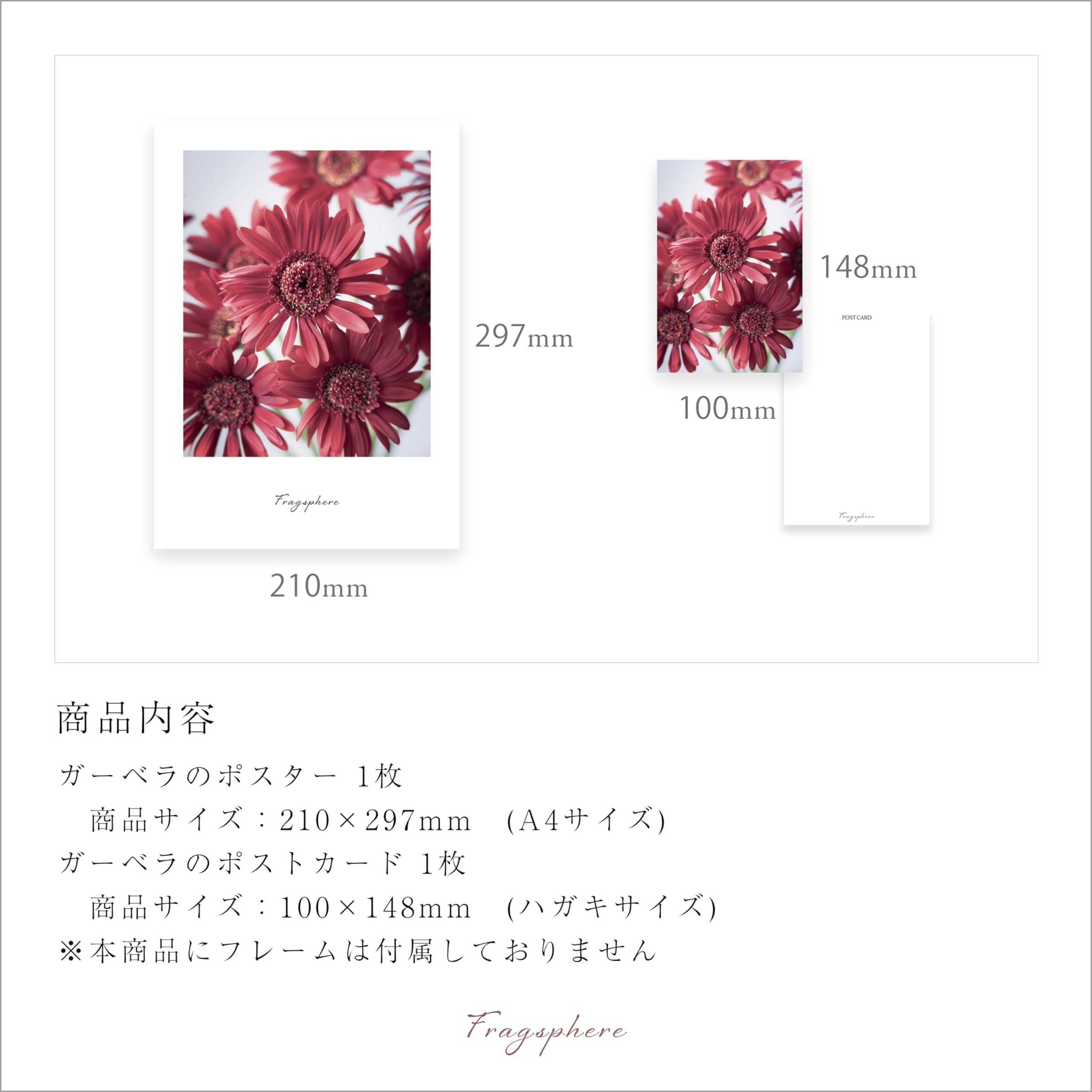 Amazon.co.jp: Fragsphere 日常を彩る 花のポスター Fragsphere