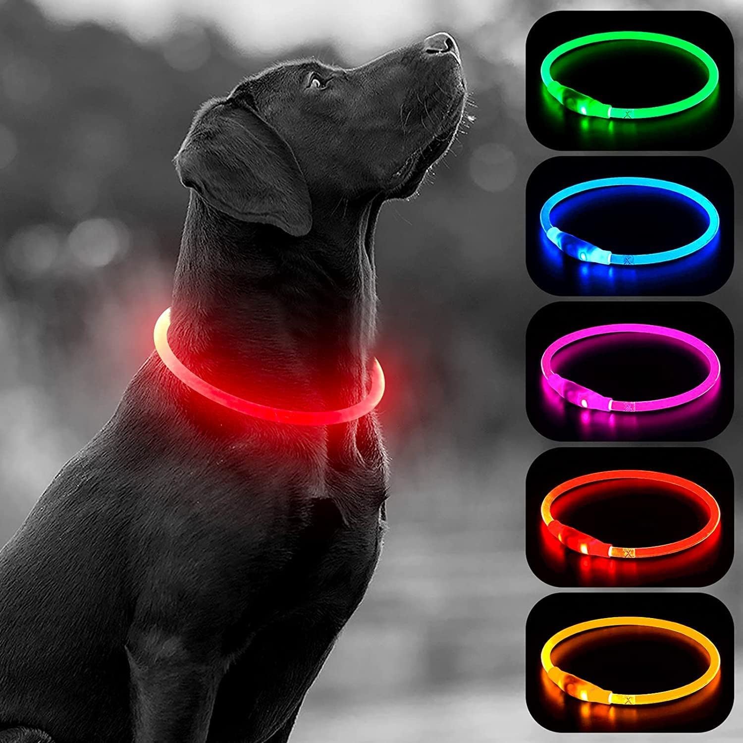 FurryFlock Collar Luminoso Perro Recargable por USB, Resistente al Agua, Collar Perro Grande Pequeño y Mediano, 3 Modos de Luz, Tamaño Ajustable para Cada Mascota (Rojo)