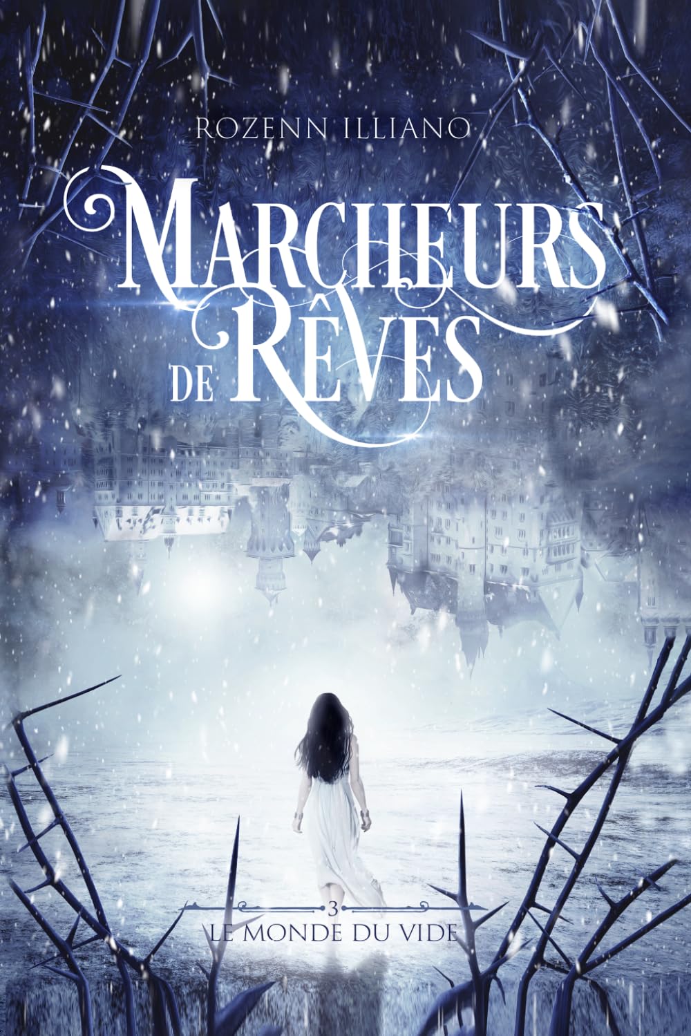 Le Monde du Vide: Marcheurs de rêves - tome 3 (urban fantasy)