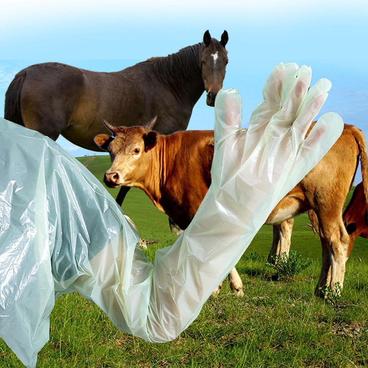 OhMill – Guantes desechables veterinarios – Guantes largos sin látex, polvo – Manoplas estériles impermeables para la inseminación artificial – Exámenes veterinarios