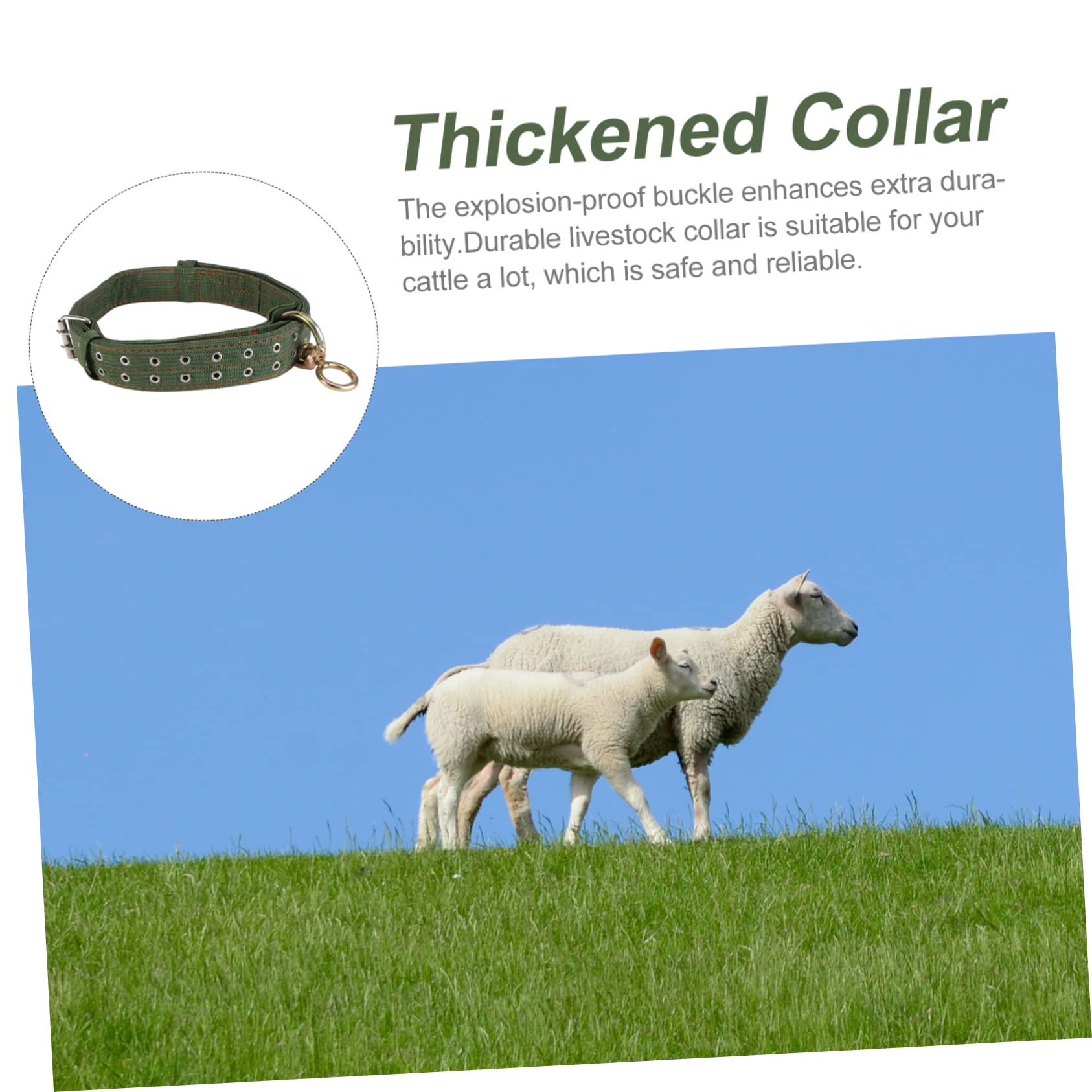 Collar para Ovejas y Caballos de Lona Verde, Resistente y Confiable, No Lastima el Cuello del Ganado, Adecuado para Manejo y Alimentación en Granjas