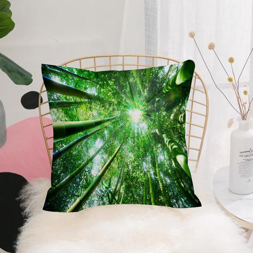 HYMSXW Cushion Cover,Throw Pillow Case Home Decorative for Living Room Bedroom Sofa Chair 20X20 Inch,Green Nature Bamboo Forest Tree Spring Summer Natural Scenery Art Print,Pillowcase 50X50cm