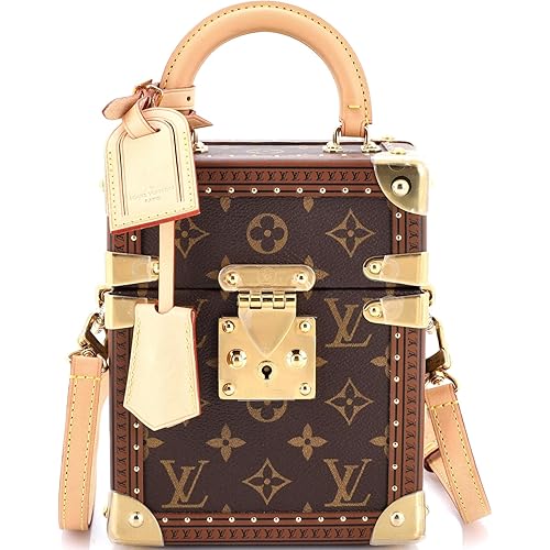 Louis Vuitton, Pre-Loved Camera Box Trunk Bag Monogram Canvas, Brown