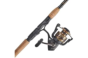 Penn Battle III Spinning Reel and Fishing Rod Combo: The Pinnacle of Professional Angling
