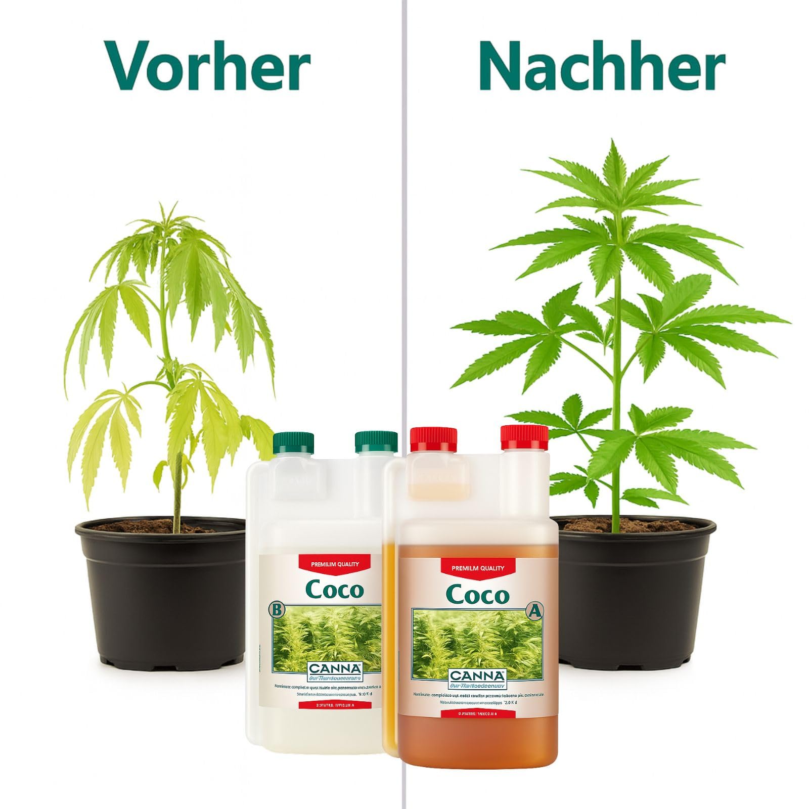 Weedness Canna Coco A&B 5 Liter - Hydrokultur Dünger Kokos Substrat Coco Grow Anbau Indoor Bewässerung