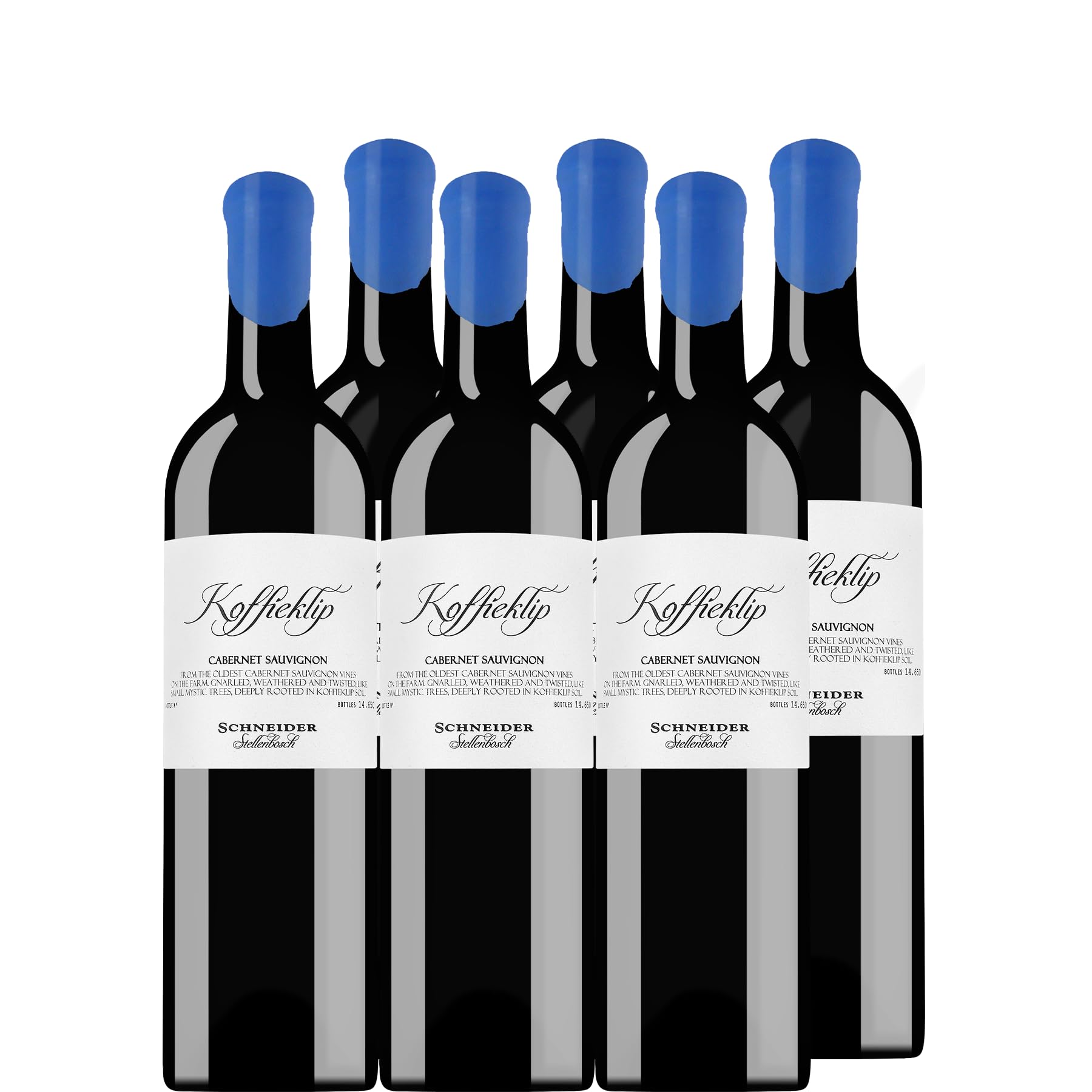 6er-Paket Markus Schneider Cabernet Sauvignon Koffieklip 2021