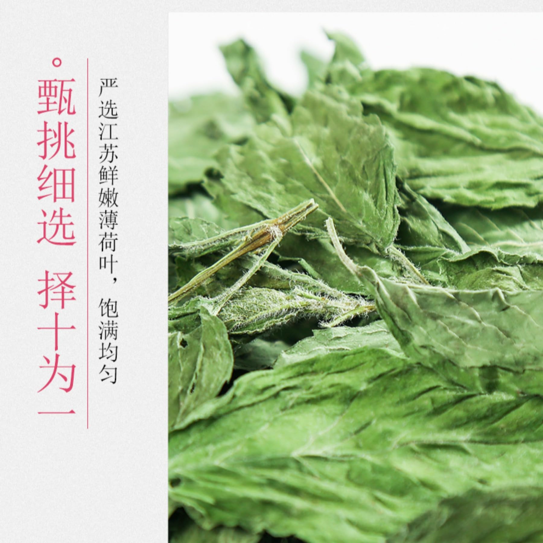 Feuilles de menthe poivrée naturelles 500g / 17,63 Feuille de Menthe Séchée Saine, Tisane - Relaxante et Délicieuse