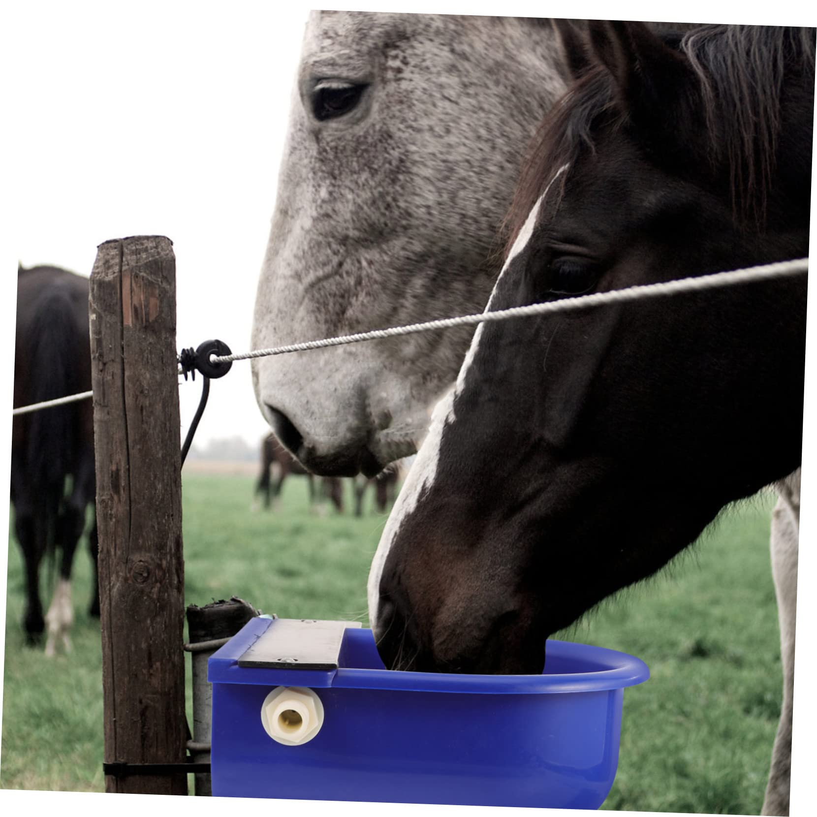 Bebedero Automático para Vacas y Ganado, Nivel Constante, Azul | Plástico, Uso en Granja, sin Deformación ni Óxido, Limpieza Sanitaria, para Ovejas y Bovinos Color Aleatorio
