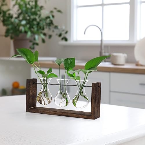 Miniatura 5 de YIBOT Estación de propagación de macetas para colgar en la pared, florero de cristal para plantas hidropónicas, terrario de plantas con soporte