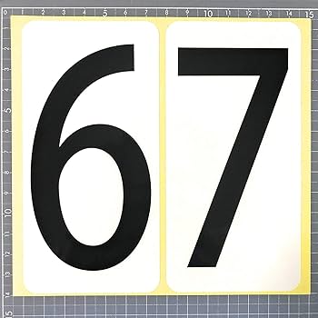 Amazon | 数字 シール 【特大】バラ「6と7」 66K67b ナンバー