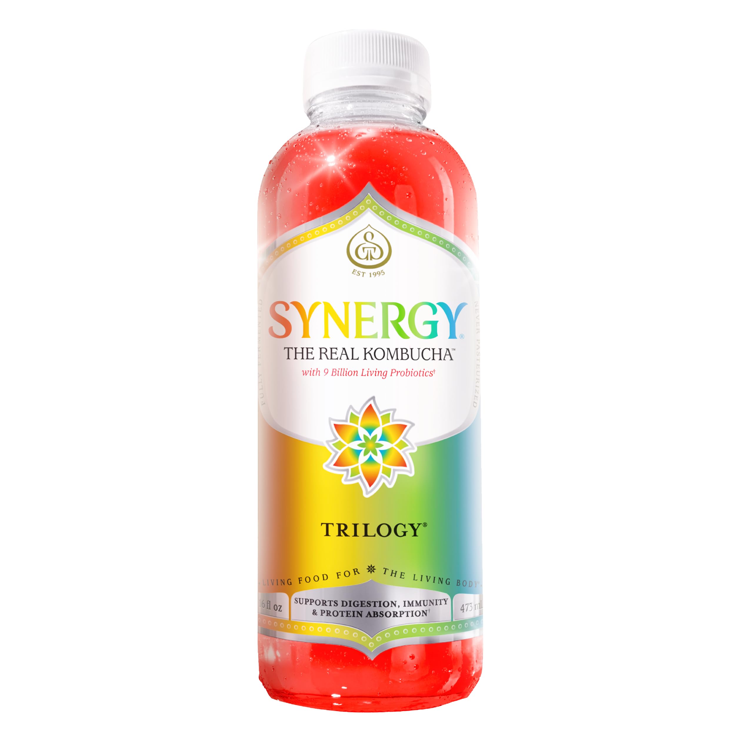 Amazon.com: SYNERGY The Real Kombucha Trilogy Kombucha - 16 fl oz
