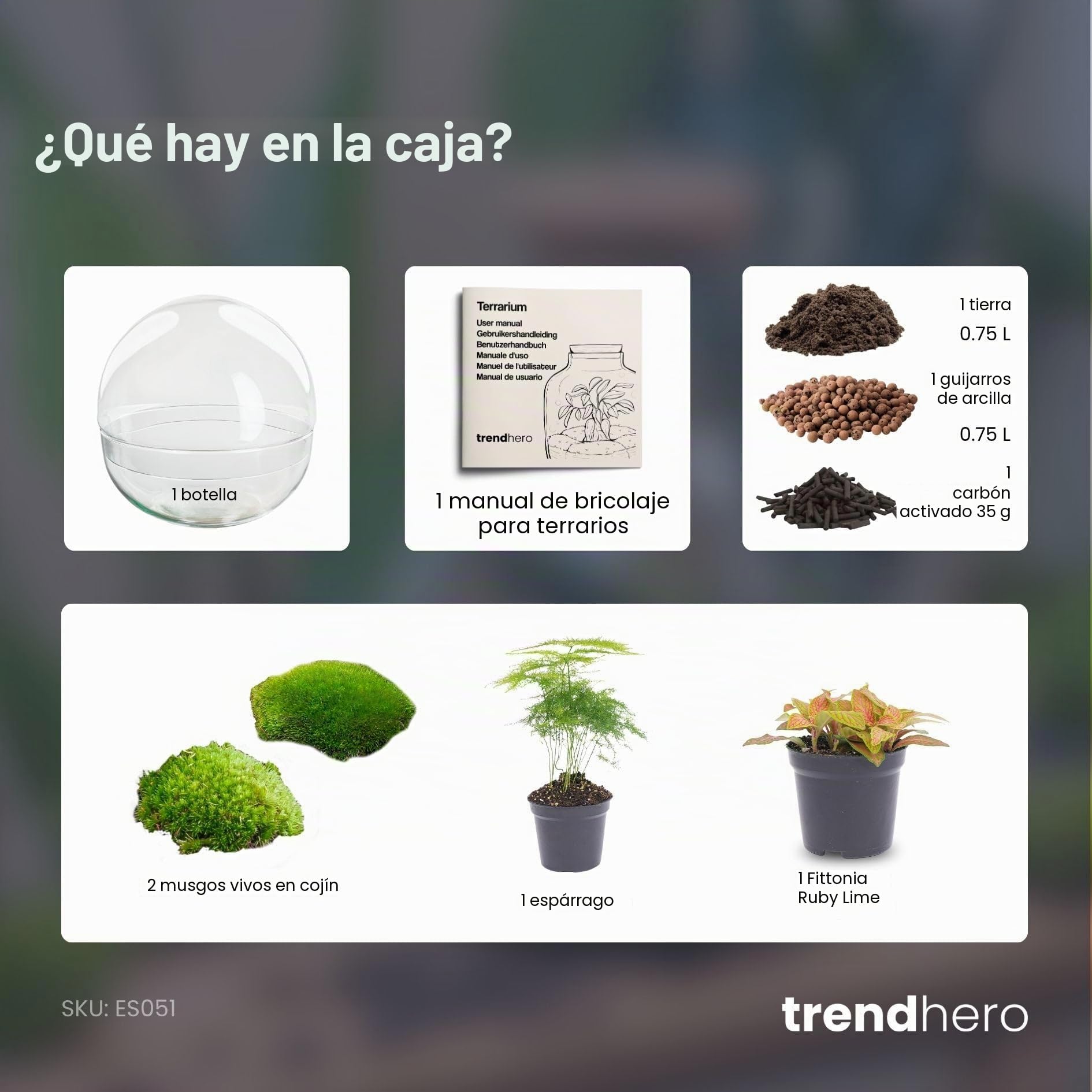 Terrario de Plantas • Cúpula Roja • Planta de ecosistema • ↑ 20 cm