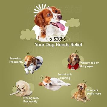 Dog Allergy Tablets - 120 Tablets - For Itchy Skin, Immunity, Digestion & Seasonal Allergies - Grape Seed & Chicken Flavoured - Dog Allergy Chews Alternative