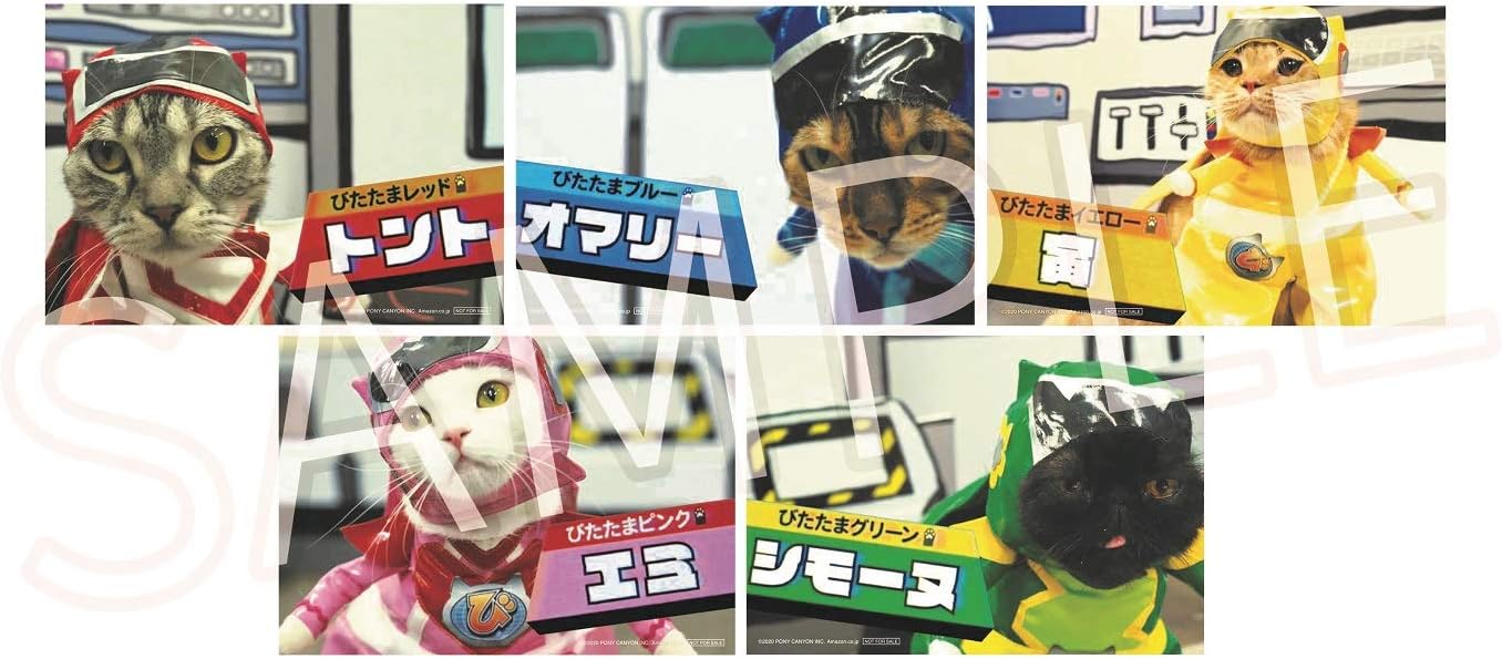 Amazon Amazon Co Jp限定 ネコ戦隊びたたま L判ビジュアルシート 全5種よりランダムで1枚 付き Dvd Tvドラマ