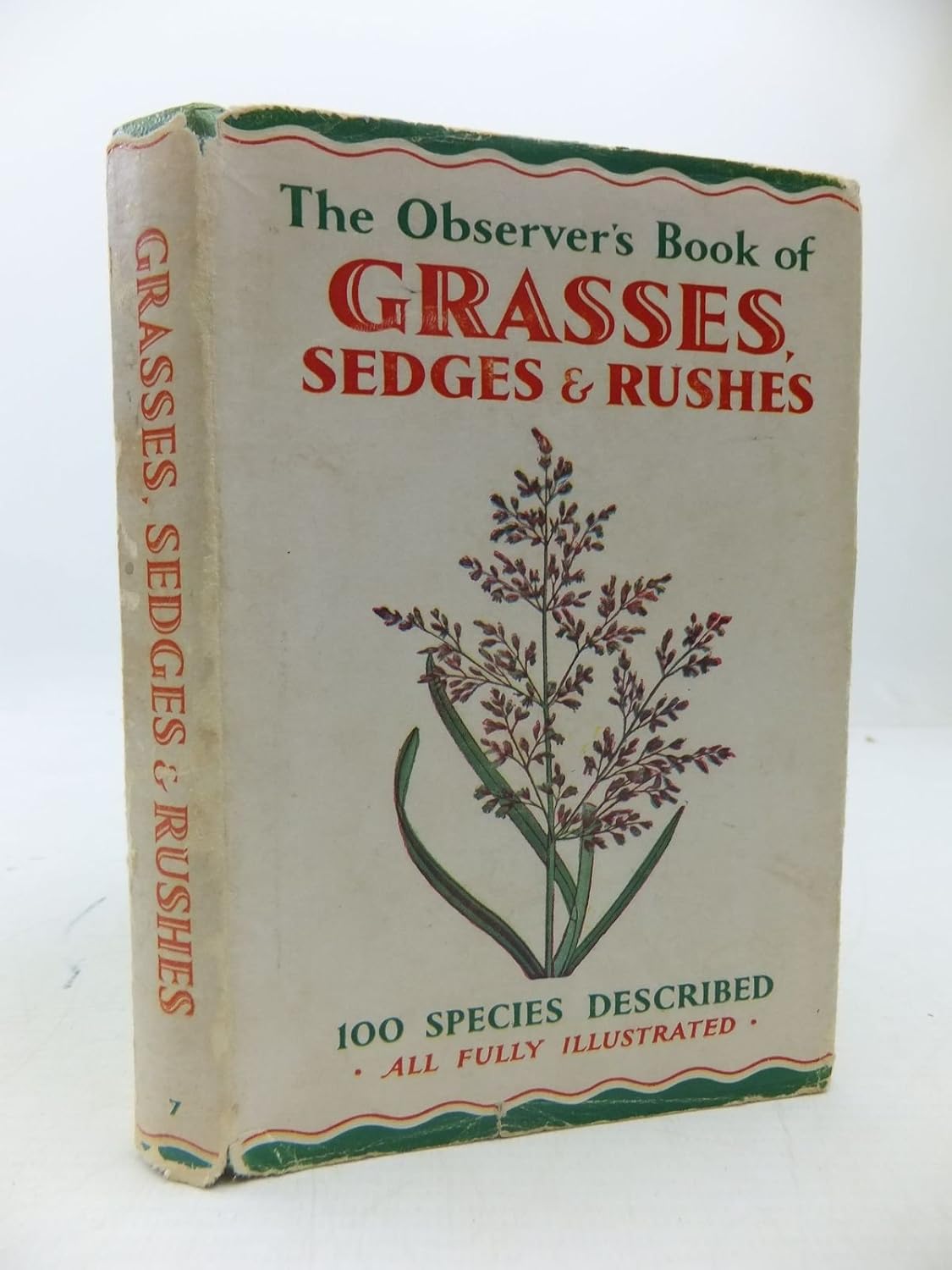 The Observer'S Book Of British Grasses, Sedges And Rushes: Stokoe ...