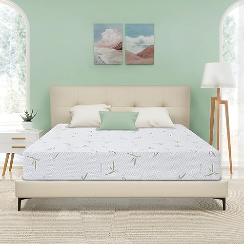 MUUEGM Colchón Queen de espuma viscoelástica de gel de 6 pulgadas en una caja, colchón de té verde tamaño Queen para un sueño más fresco, apoyo y