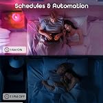 Geeni Prisma 800 2700K Dimmable A19, 60W Changement de couleur équivalent RGBW LED Intelligent WiFi Ampoule, Fonctionne avec Alexa et Google Assistant, Pas de Hub requis, Nécessite 2.4GHz WiFi (1 Boîte)