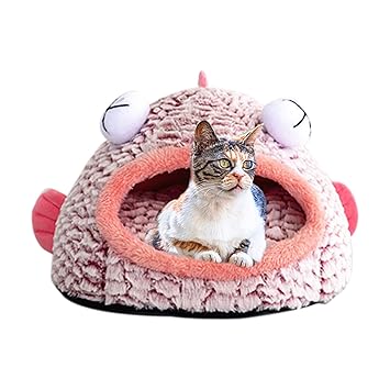 kitten beds amazon