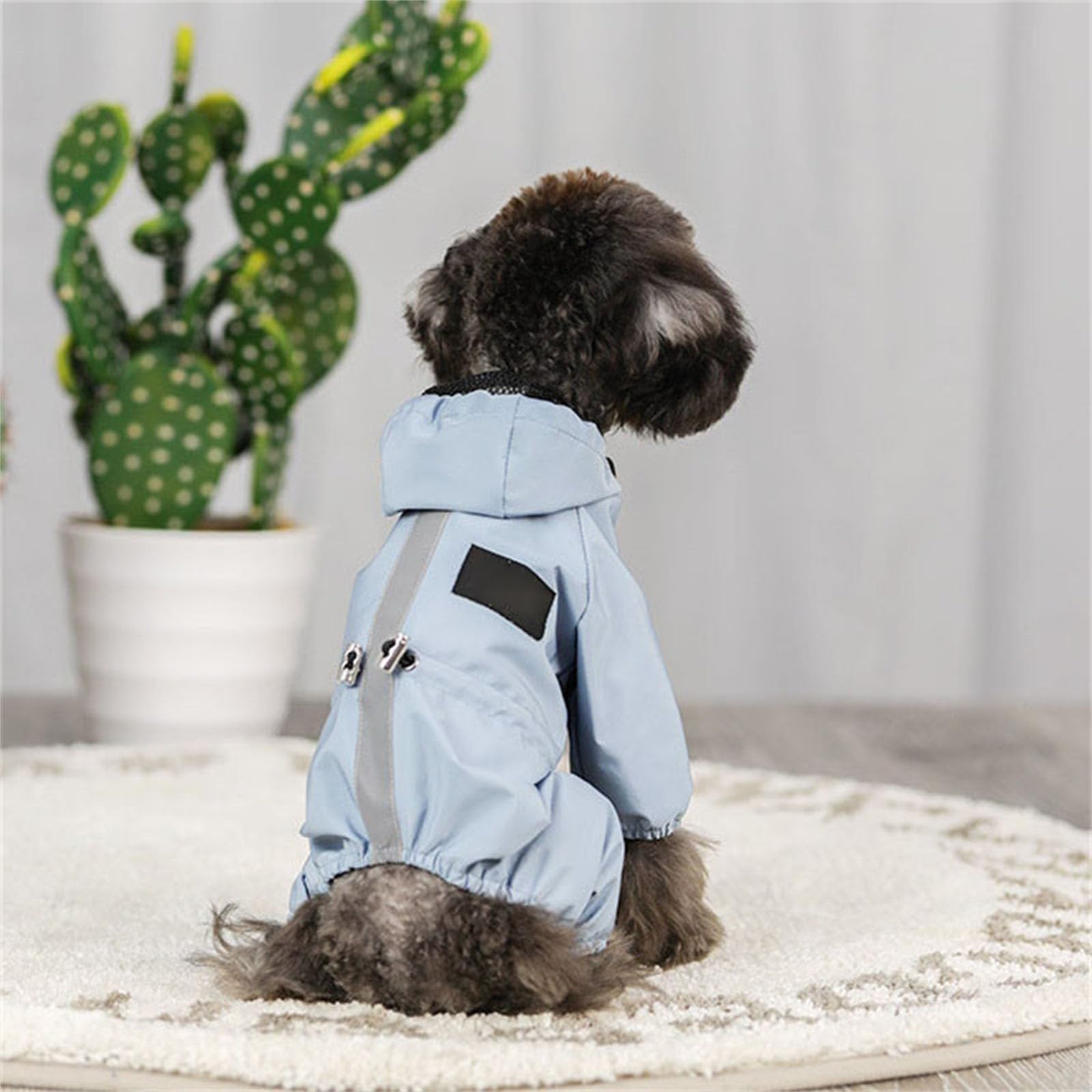 Wendbarer Hunde-Regenmantel Mit Kapuze – Wasserdichter Poncho Mit Leinenloch (Größe M)
