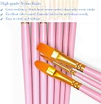 BOSOBO Paint Brushes Set, 2 Pack 20 Pcs Round Pointed Tip Nylon Hair Artist Acrylic Paint Brushes for Acrylic Oil Watercolor, Face Nail Art, Miniature Detailing & Rock Painting, Pink