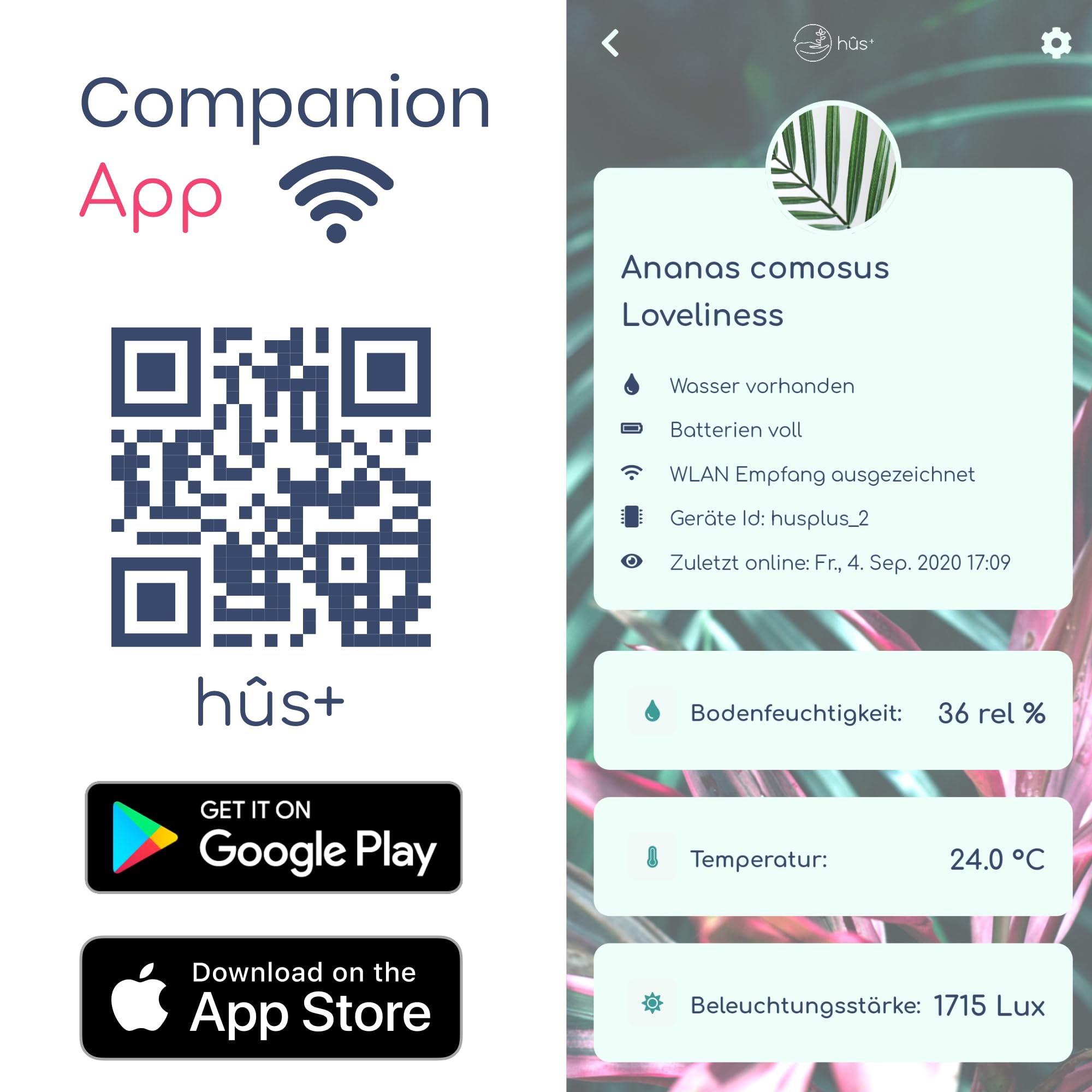 Flower smart 【 A Babysitter for Your Plants 】 Smart WiFi Pflanzensensor Gießanzeiger Feuchtigkeitsmesser für Pflanzen - Bodentester Wasserdicht WLAN Sensor digital (6, Botanical Black)