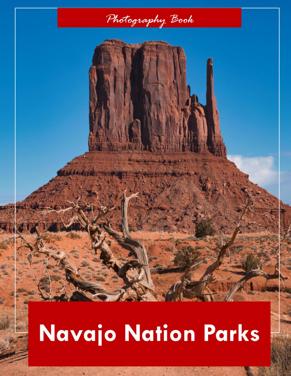 Navajo Nation Parks: A Visual Journey Through the Sacred Landscapes of the Navajo Nation — Stunning Photography of Red Rock Canyons, Ancient Dwellings, and Desert Majesty