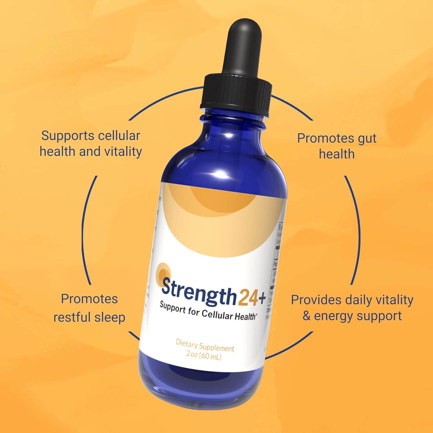 Strength24+ Vitality Drops, Bladder Control, Cellular Health & Energy Support, 60 Servings (1 Month Supply), with Jasmine Extract & Amino Acids, Promotes Muscle Recovery, Sleep Support, 2 Fl Oz - Image 4