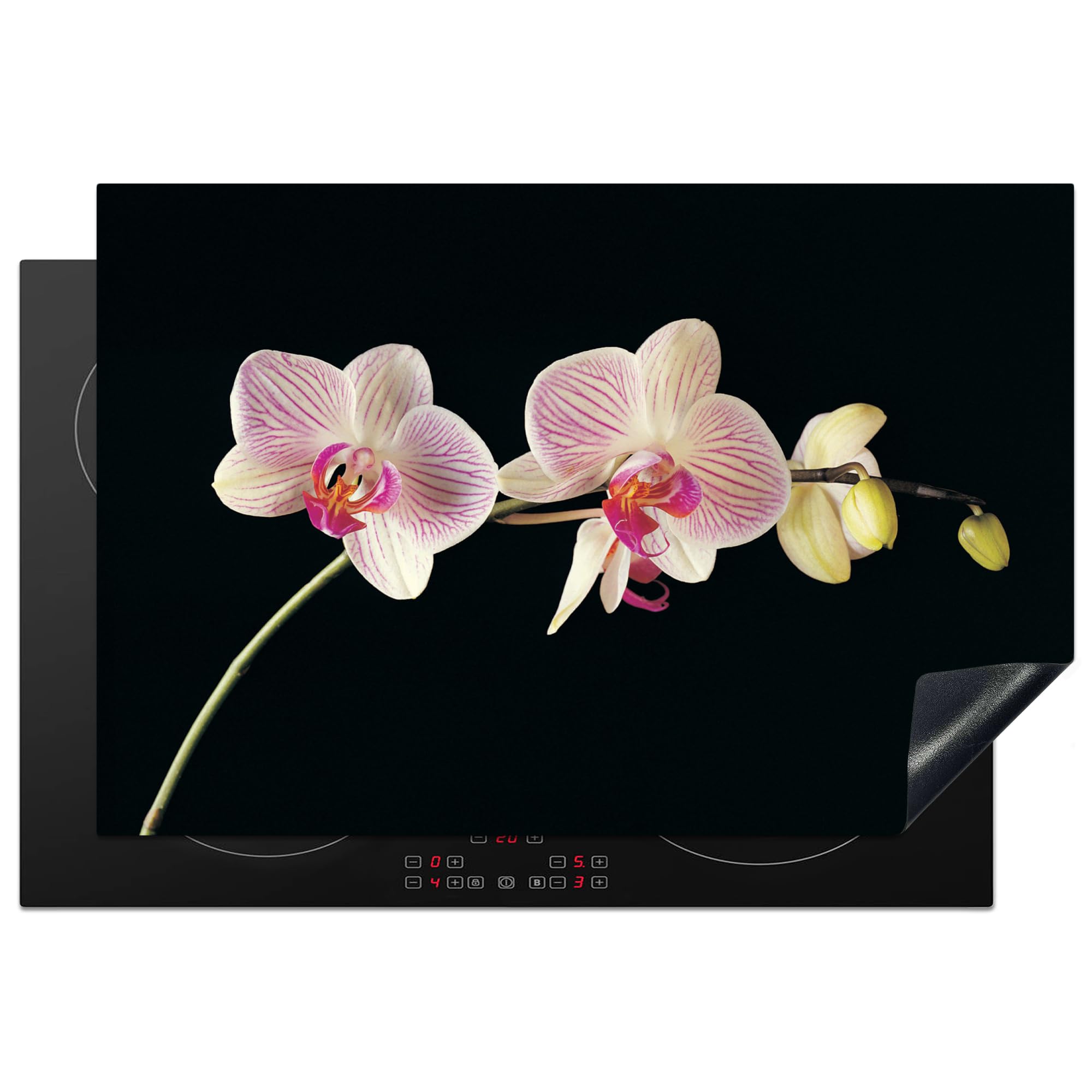 MuchoWow Inductiebeschermer - Inductie mat - Vinyl - Orchidee - Bloemen - Zwart - Roze - Knoppen - 58.3x51.3 cm - Inductie beschermer