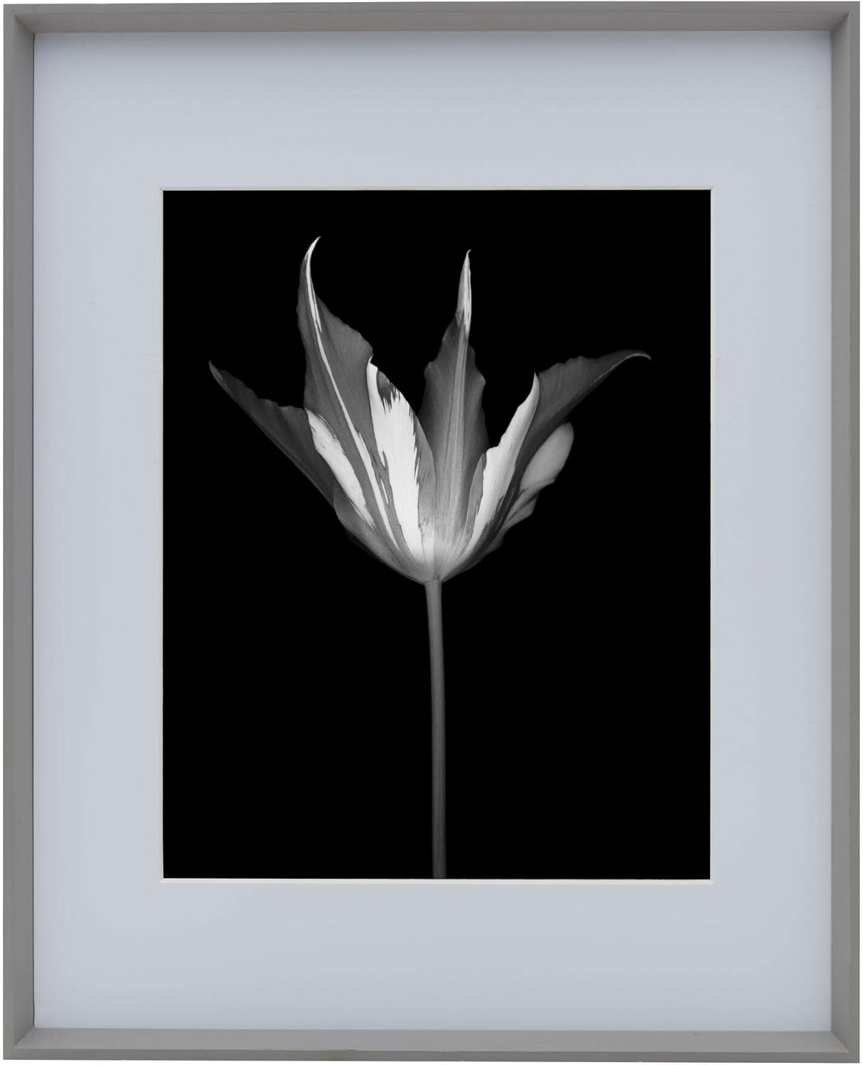 Studio Nova Picture Frame Displays 11 x 14 Photos 16 x 20 Without Mat, Gray Gray 16x20 - Matted 11x14